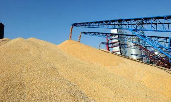 臭氧在倉儲業(yè)中的應用